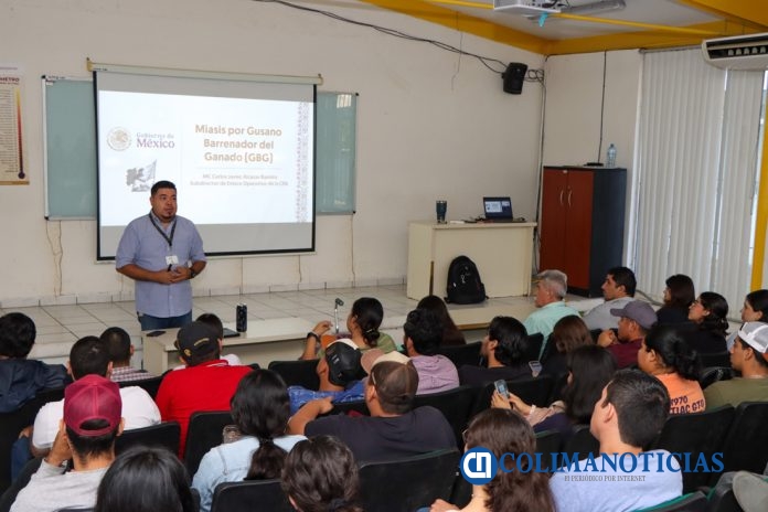 Importante__reportar_casos_de_gusano_barrenador_en_animales_y_humanos