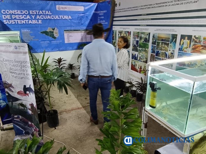 Subseder-Feria