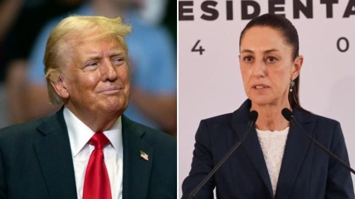 Trump-y-Shein