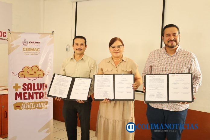 Comité Municipal de Salud Mental -4