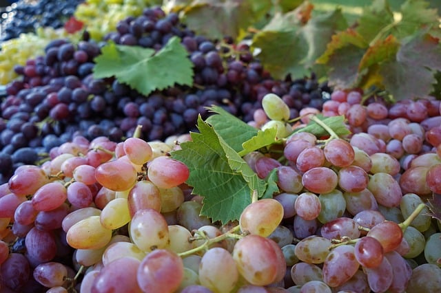 UVAS