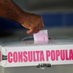 consulta popular