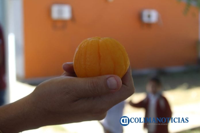 mandarina