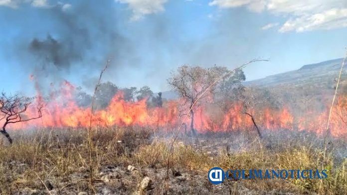 Bomberos Tecomán
