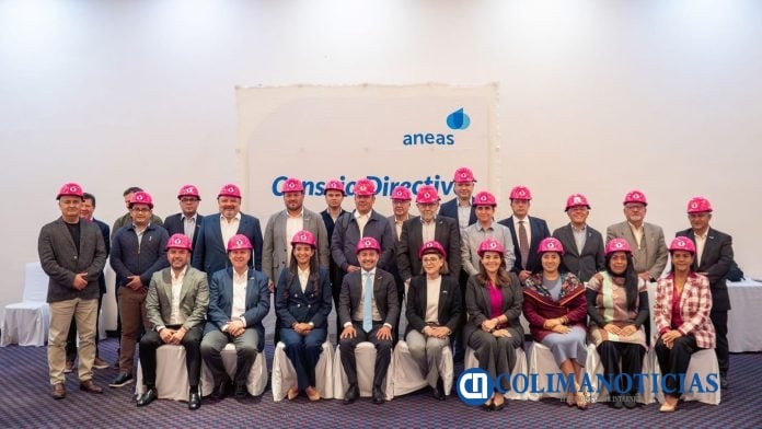 CAPDM CONGRESO NACIONAL ANEAS