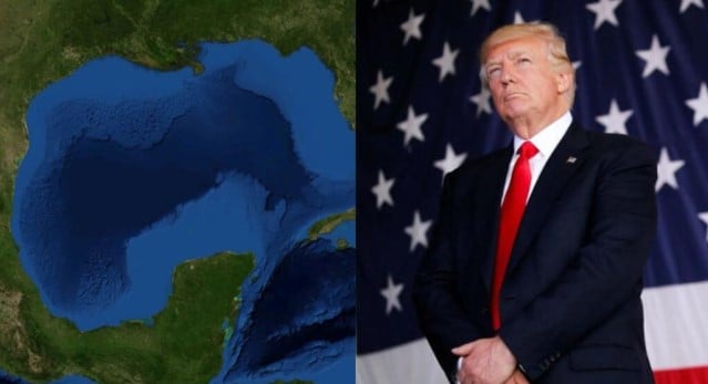 DONALD TRUMP