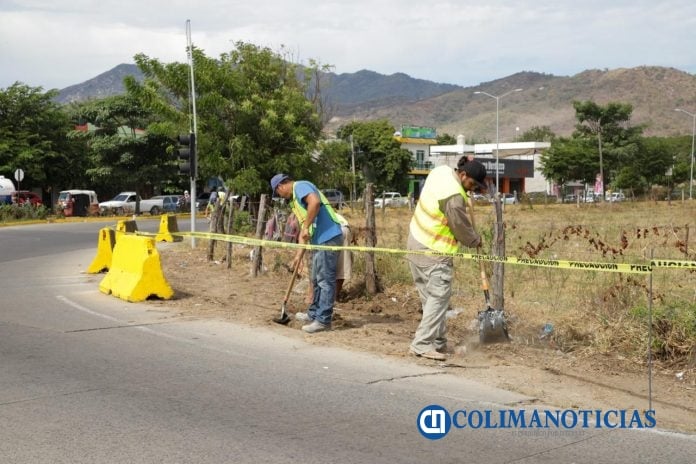 ROSI BAYARDO-MANZANILLO