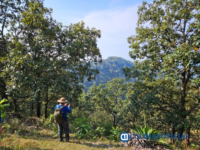 Colima mejora en calidad de vida y medio ambiente, revela estudio del IMCO (2)