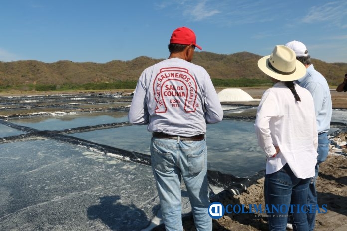 UdeC fortalece colaboración para crear una Marca de Certificación de Sal_c