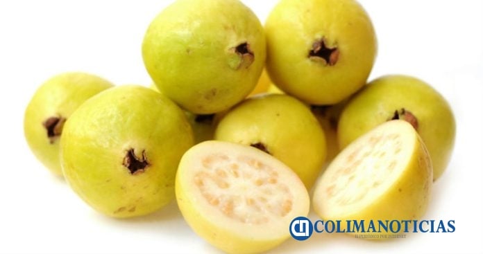 guayaba
