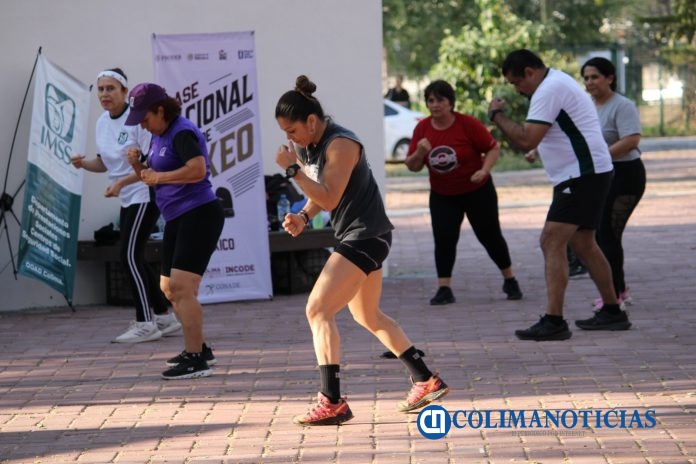 Incode Boxeo