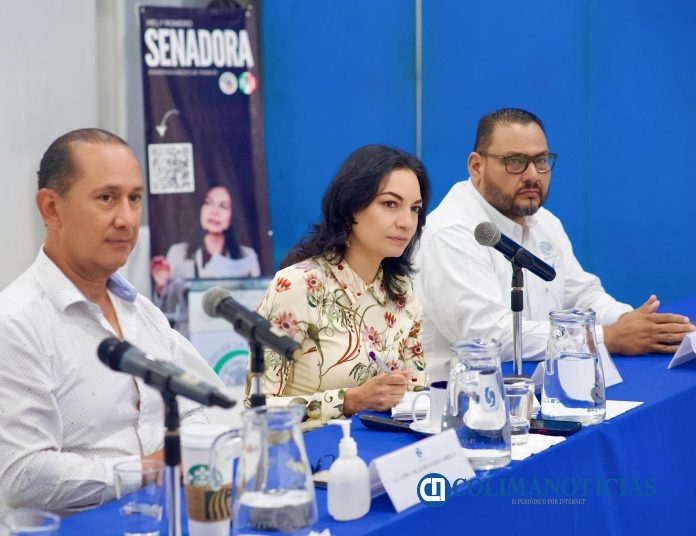 Mely Romero Senadora