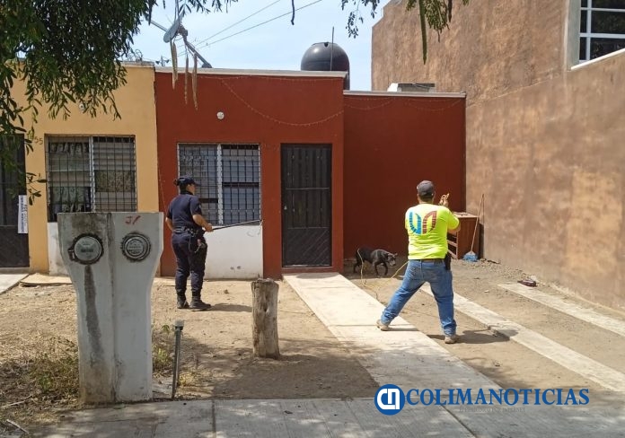 Policías de la Villa rescatan a 12 animales de compañía (5)