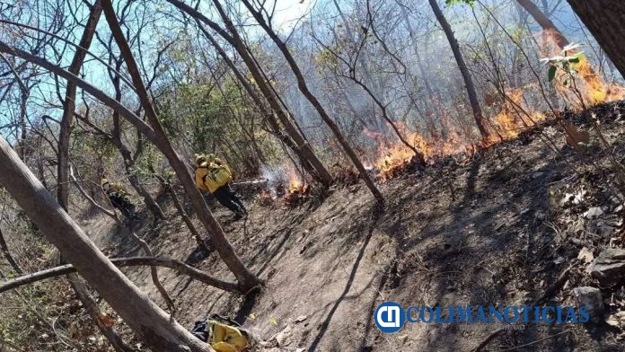 Se combate incendio forestal en el Ejido de Canoas, en Manzanillo (2)