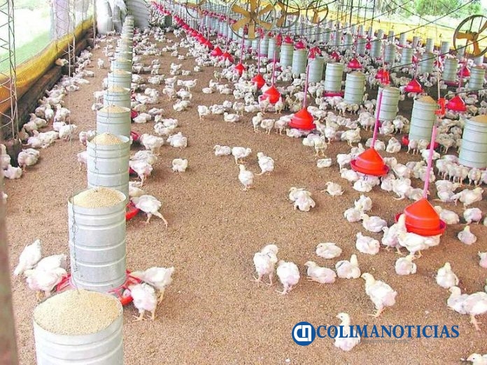 Activa Agricultura protocolo sanitario