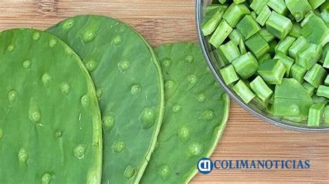 Beneficios de cenar nopales