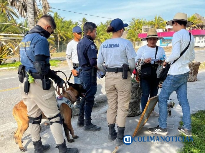 Fuerza Juvenil Militarizada de Tecomán