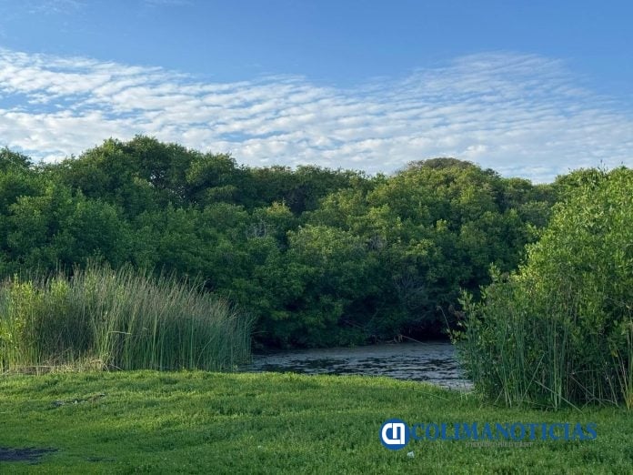 Imades invita a disfrutar de la naturaleza con responsabilidad en estas vacaciones (2)