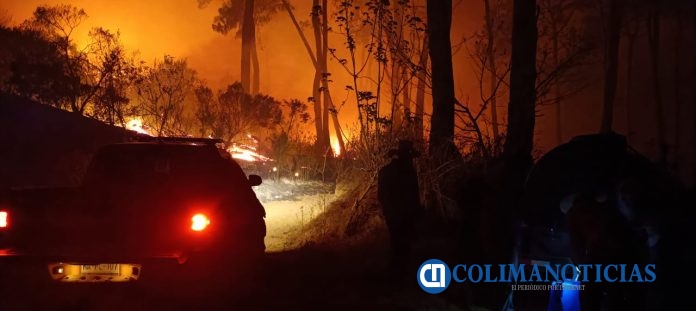 Incendio forestal en Ejido de Quesería