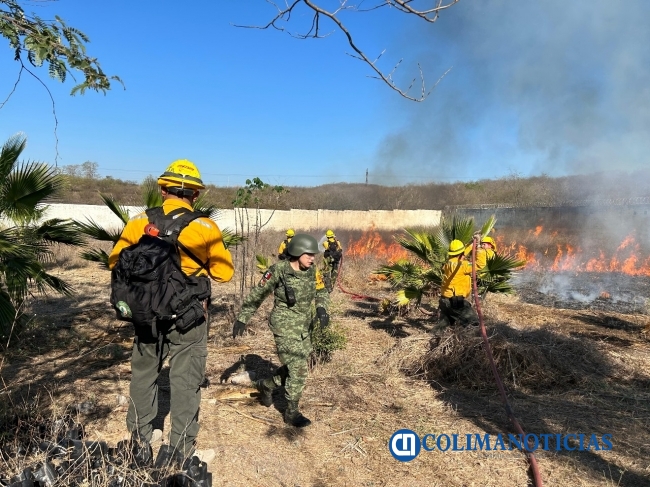Incendios forestales en Colima