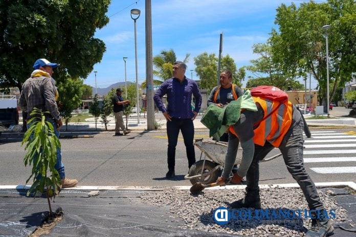 Supervisa Presidente Riult Rivera trabajos (4)
