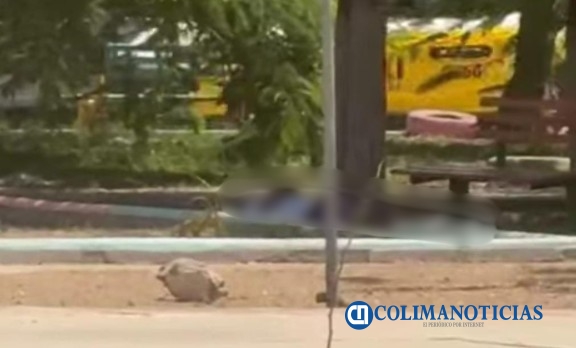 Violencia Manzanillo
