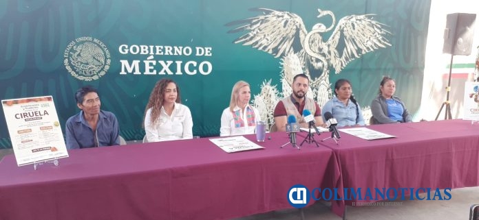 Anuncian el Festival de la Ciruela, 17 y 18 de mayo