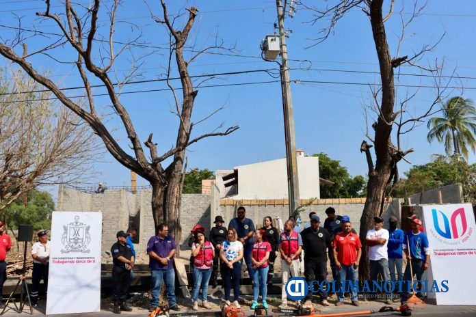 Arranca Tey programa “Detecta, ubica y reporta árboles en riesgo”