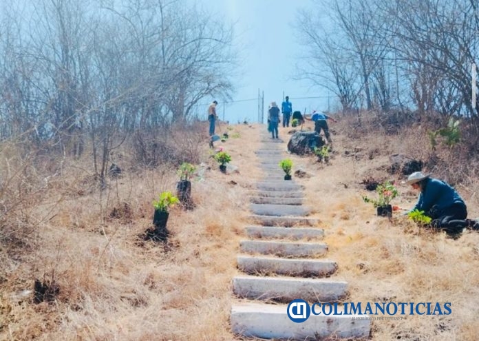 Ayuntamiento de Colima embellece el Cerro de la Virgen en Loma de Fátima