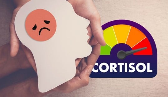 Cortisol
