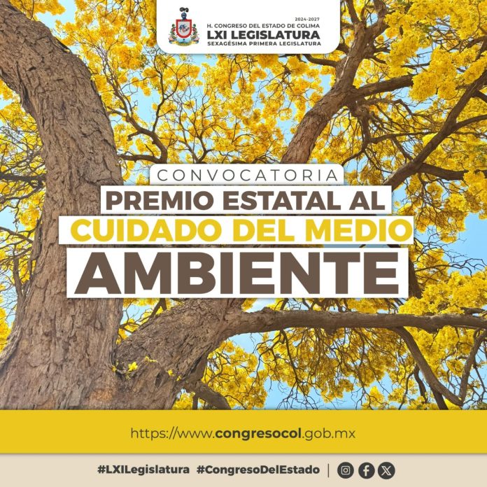Imades Cuidado del Medio Ambiente 2025