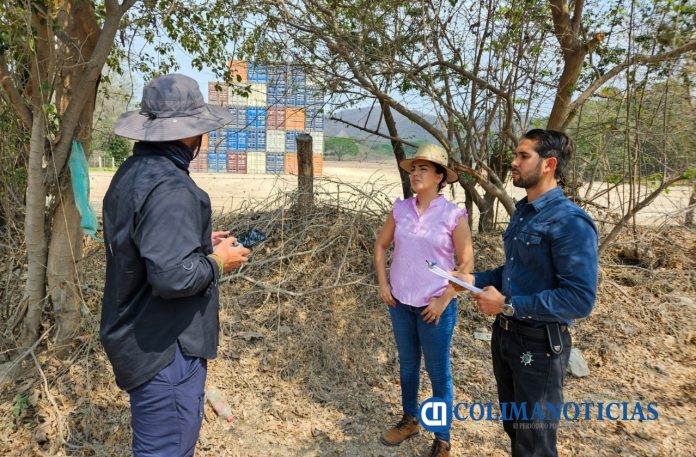 Imades y Ayuntamiento de Manzanillo trabajan en la regularización de patios de contenedores, en Tapeixtles (2)