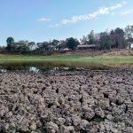 laguna de carrizalillos 3