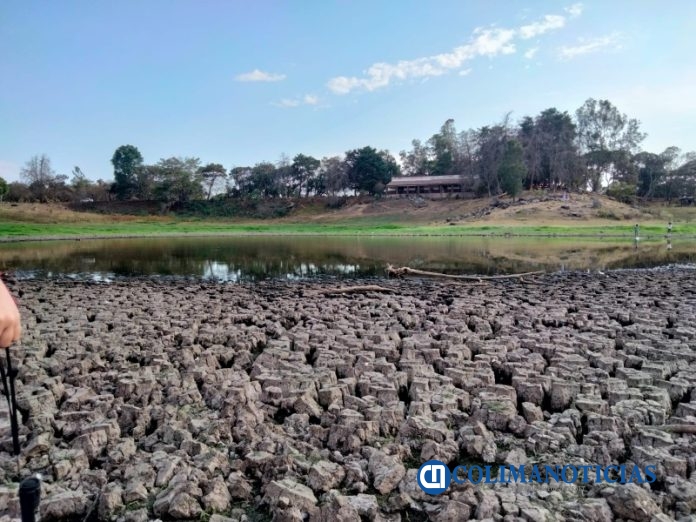 laguna de carrizalillos 3