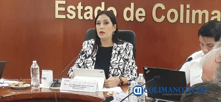 Más de 70 organizaciones buscan constituirse como partido político en México: INE