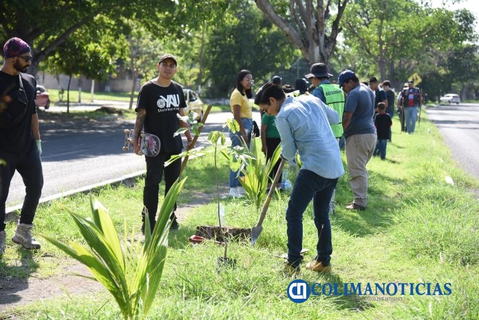 Ayuntamiento de Colima impulsa reforestación urbana en la avenida Niños Héroes (3)