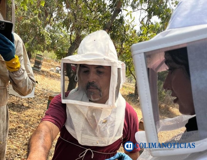 Cae dramáticamente producción de miel en Colima por uso de agroquímicos “La apicultura ya no es rentable”