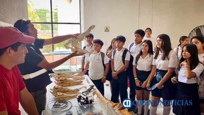 Celebran Día Mundial del Medio Ambiente con actividades de sensibilización