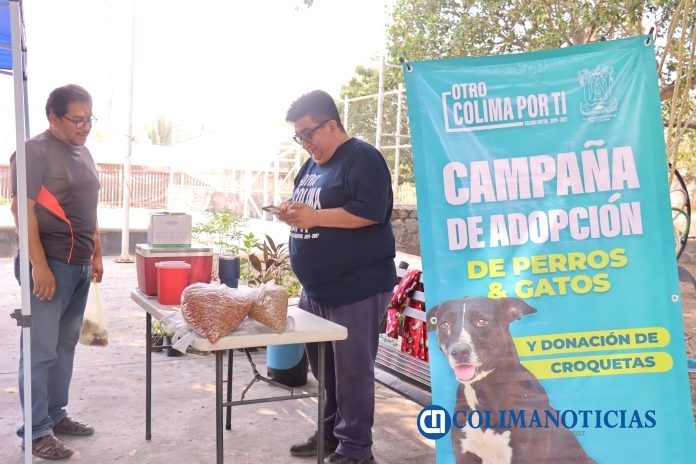 Centro de Control Canino del Ayuntamiento de Colima (3)