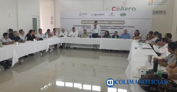 Concluye Simulacro del Plan de Emergencia