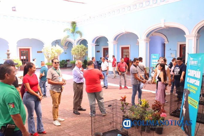El Centro de Control Canino y Felino del Ayuntamiento de Colima