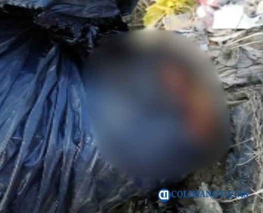Encuentran Restos Humanos en bolsas de plástico en la colonia El Jabalí de Santiago
