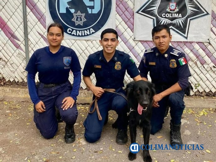 Fuerza Juvenil Militarizada de Tecomán da la bienvenida a Odín, su nuevo elemento canino