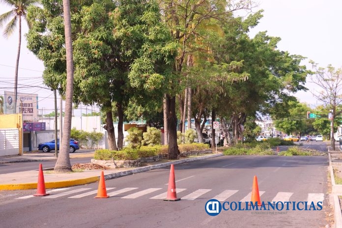 Gobierno de Riult Rivera intensifica poda en Av. de los Maestros (4)
