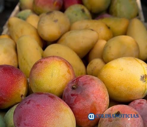 Mangos