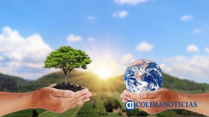 Medio Ambiente