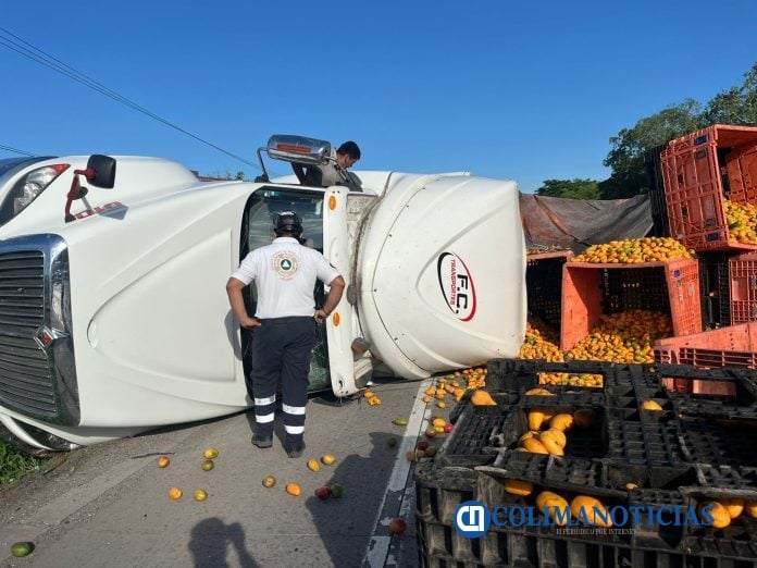 Se vuelca un tractocamión que transportaba mangos sobre la autopista (2)