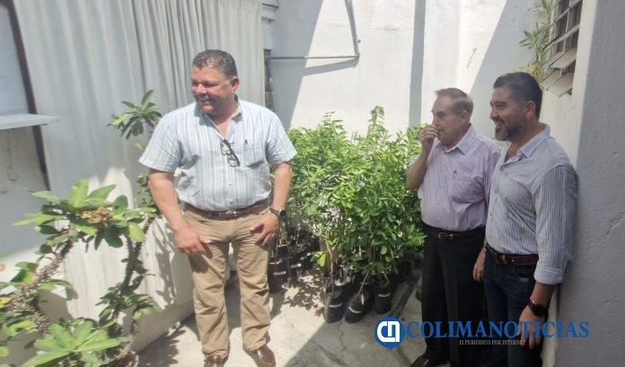 Asociación de Jubilados y Adultos Mayores recibe árboles para reforestar por parte de Virgilio Mendoza