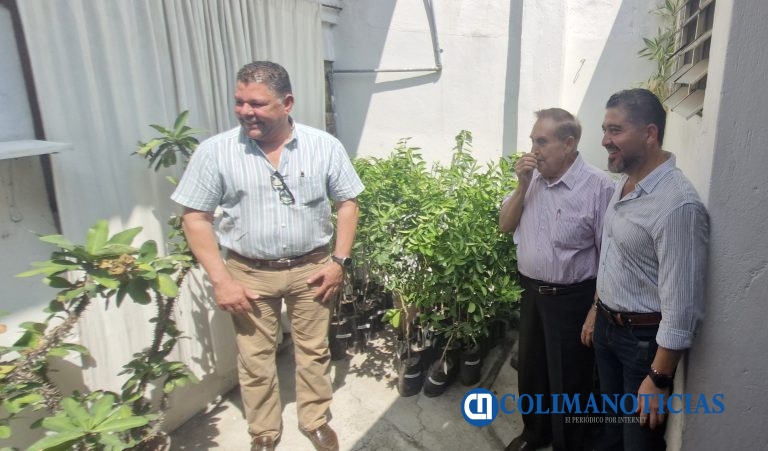 Asociación de Jubilados y Adultos Mayores recibe árboles para reforestar por parte de Virgilio Mendoza 