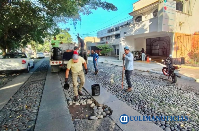 Avanza el programa de bacheo en todo el municipio gracias a los reportes de la ciudadanía: Riult Rivera
